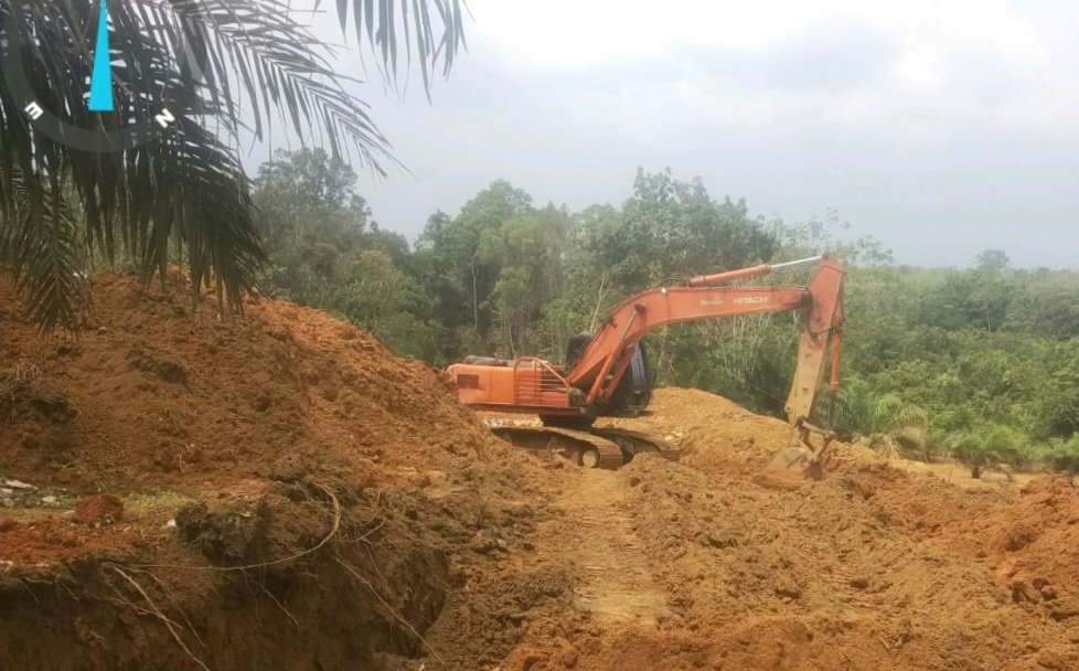 PETI Kecil di Kuansing Jadi Bulan-bulanan APH