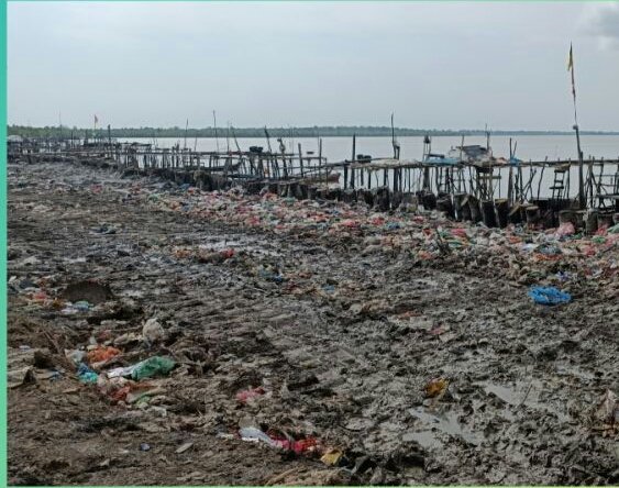 Tambak Udang Geser Hutan Mangrove Bengkalis