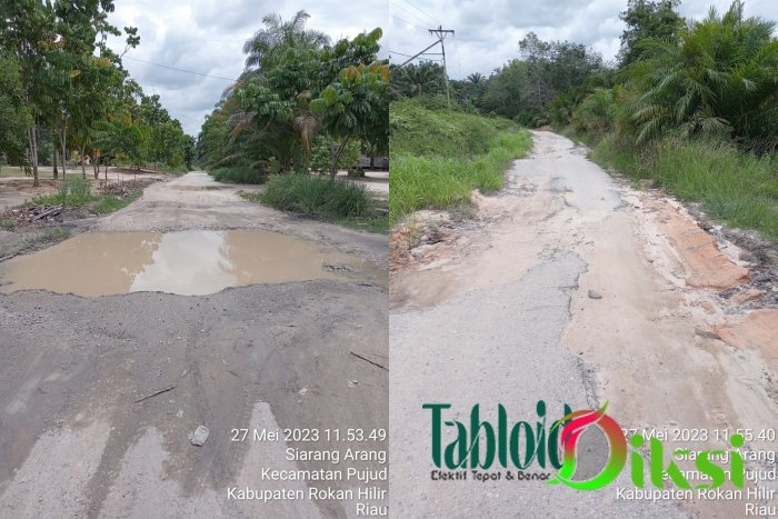 Kubangan Kerbau di Siarang-arang Jalan Memilukan Masyarakat