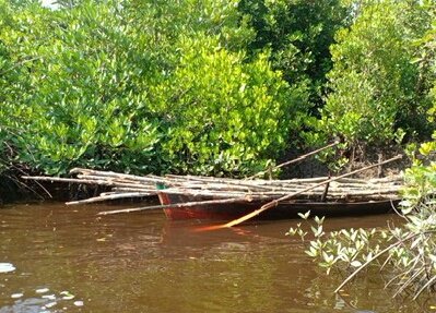 Panglong Arang Milik AsianÂ Khawatirkan Warga Desa Kembung LuarÂ 