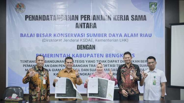 Dimasa Bupati Kasmarni Impian Masyarakat di SM Giam SK dan SM Balai Raja Dapat Terwujud