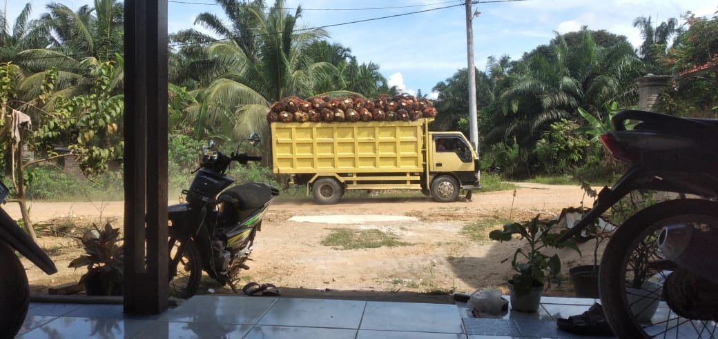 Dampak Buruk Muatan Berlebih: Jalan Menuju Desa Bukit Gajah Terancam Kehancuran