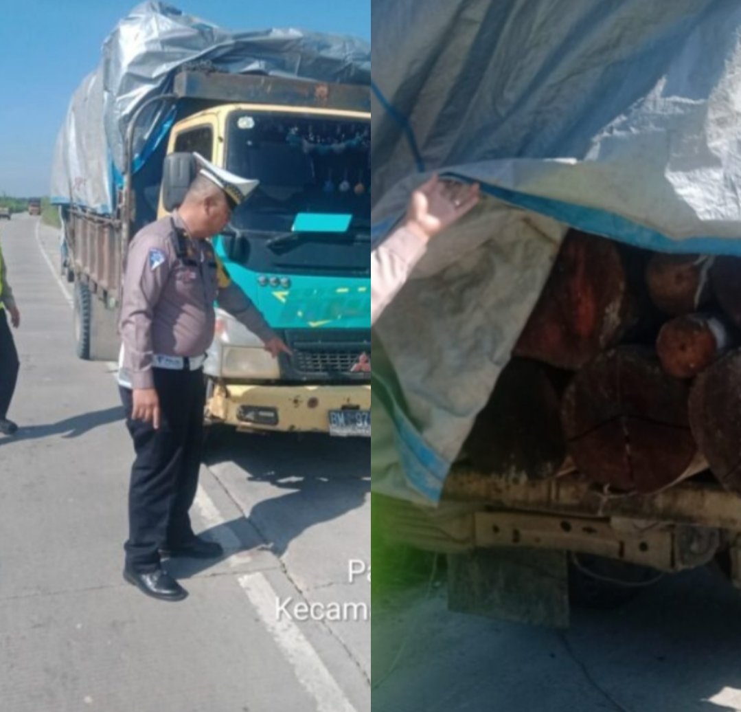 Dua Unit Mobil Bermutan Kayu Yang Di Duga Kawasan Hutan  Berhasil Diamankan Satlantas Polres Pelalawan 