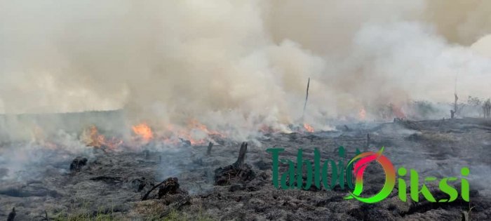 Terjadi di Rokan Hilir, Tim AJPLH Berhasil Mengatasi