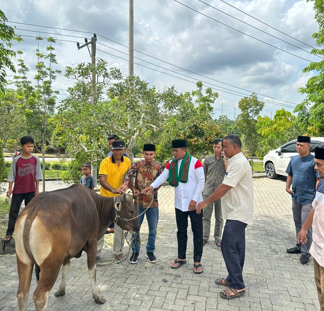 Bupati Pelalawan Serahkan 8 Ekor Sapi Kurban dan Kambing ke Masjid Kecamatan Pangkalan Kerinci