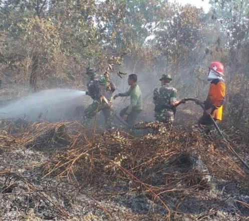 Polda Riau Tangkap 34 Pelaku Pembakaran Lahan