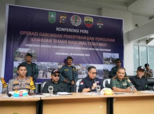 Ratusan Hektare TNTN Disulap Jadi Lahan SawitÂ 