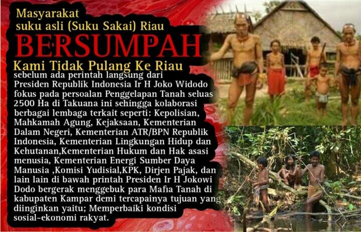 Adukan Mafia Tanah di Koto Garo Tapung Hilir ke Presiden Jokowi, Suku Sakai Kompak Menuju Istana Negara