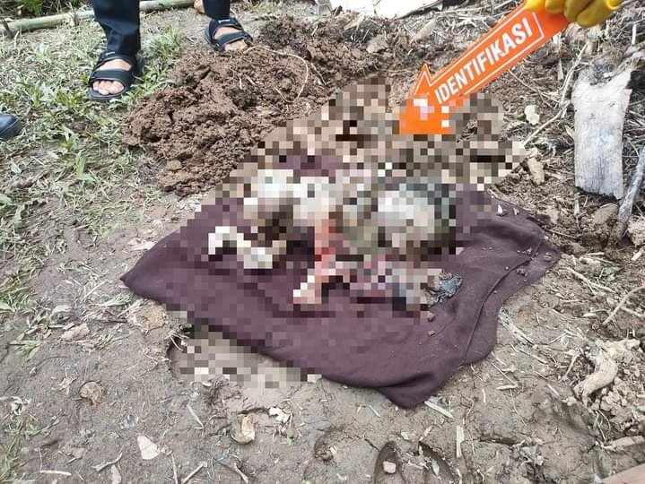 Bayi Membusuk Ditemukan Dekat Area Perkemahan di Kuansing