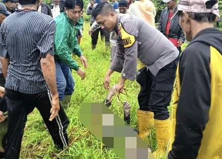 Pengembala Sapi Ditemukan Kaku dalam Kanal