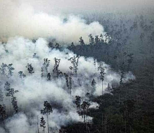 Waaow..!! Hampir Seribu Hektare Lahan di Riau TerbakarÂ 