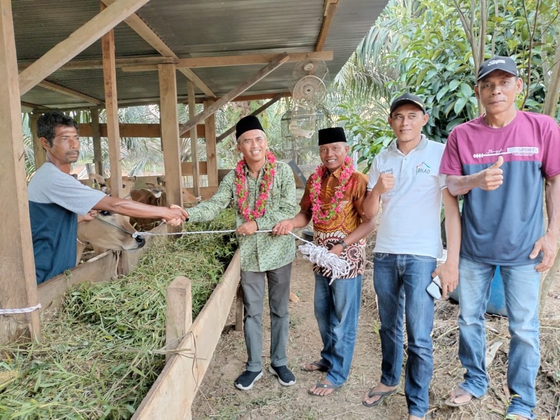 Usulkan Bantuan Ternak Sapi Melalui Pokir, Mardianto Manan salurkan 7 Ekor Sapi Kepada Masyarakat LTD