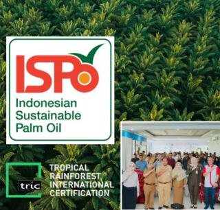 Lewat ISPO, Pemkab Kampar Sertifikasi Kelompok Tani Sawit