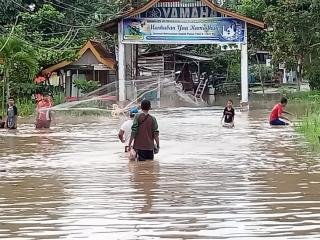 Terimakasih Pak Walikota dan Pak Kadis PUPR, Berkat Banjir Melanda Kita Dapat Penghasilan Dari Hasil Menjala IkanÂ 