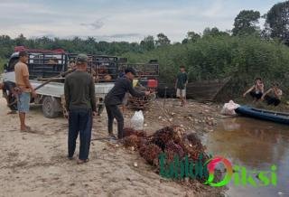 Dampak Positif dan Negatif Bagi Masyarakat Setempat