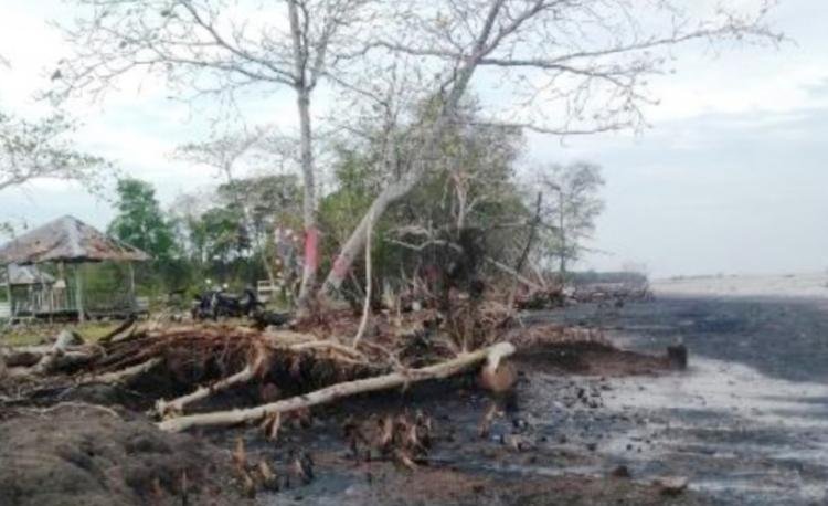 Pulau Terluar Kepulauan Bengkalis Terancam Punah