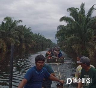 Humas PT PHI Mengklaim Tidak Mempekerjakan Pemanen di Areal Banjir