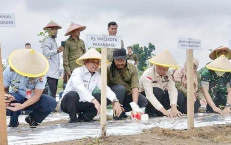 Pemko Launching "Pekanbaru Bertani"