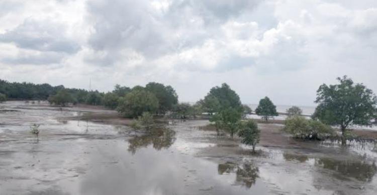 PETIR Cium Aroma Korupsi Penanganan Abrasi di Riau 