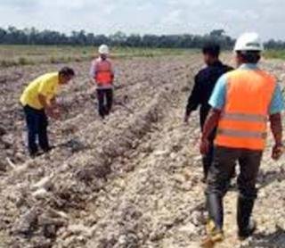 HTR Belantaraya Diduga Sarat Persekongkolan 