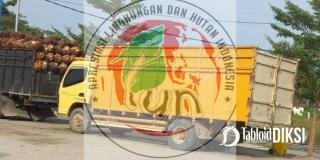 Sinyalir Asal Rupat Kayu Ilegal di Dumai, Polda Riau Diminta Atensi