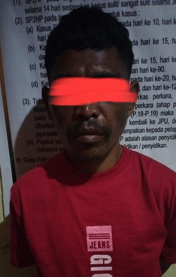 Bertindak Tegas Terhadap 3C, Polsek Pangean Berhasil Ringkus Pelaku Pencurian HP