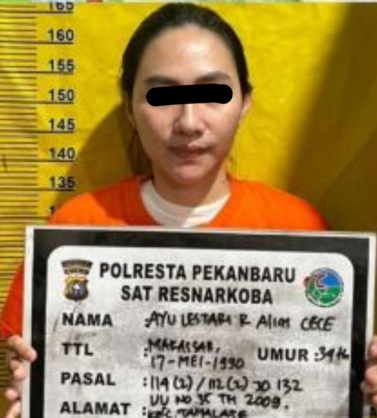 Ibu Muda Otak Kendali 7 Kali Selundup Sabu Pekanbaru-Makassar