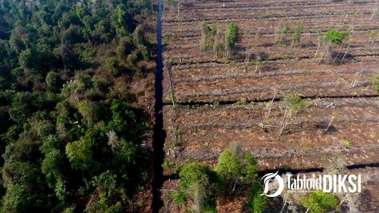 APRIL Grup Ancaman Bagi Hutan Alam di Riau