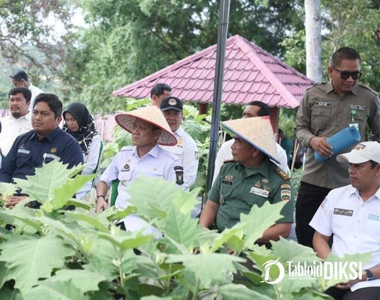 Penjabat Bupati Kampar Panen Perdana Cabai untuk Tekan Inflasi