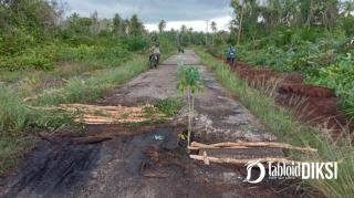 Jalan Badrun Desa Tanah Merah Rusak Parah, Pemerintah Ogah Perhatikan