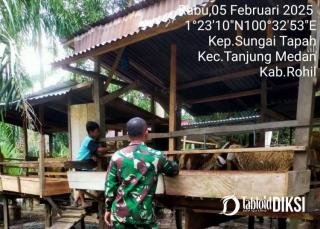 Sebagai Pencegahan Dari Wabah PMK, Babinsa Koramil 0321-06/TM Lakukan Pengecekan Ke Ternak Warga