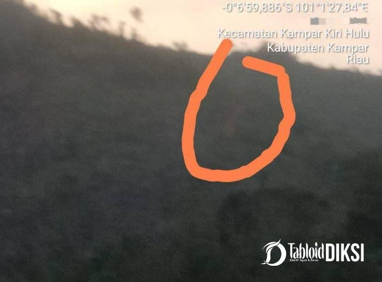 Alih Fungsi Hutan dan Sengketa Lahan Ulayat Makin Pelik, Warga Ludai Kampar Kiri Hulu: APH Bungkam !