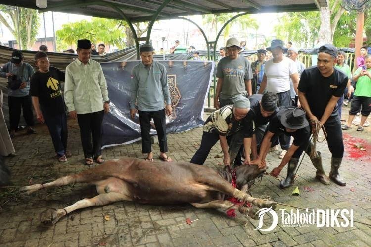 Bupati dan Wakil Bupati Kampar Saksikan Penyembelihan Hewan Kurban di Islamic Center Bangkinang