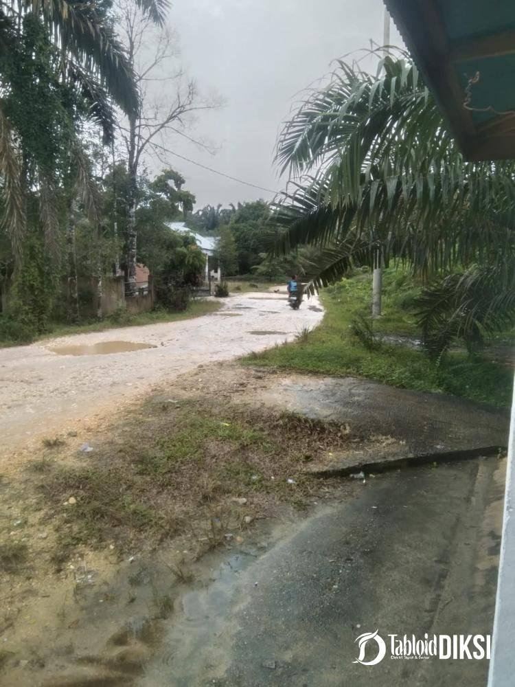 Akses Jalan Hancur, Pengusaha Sawit Untung, Pemdes Abai: Warga Menderita!!!