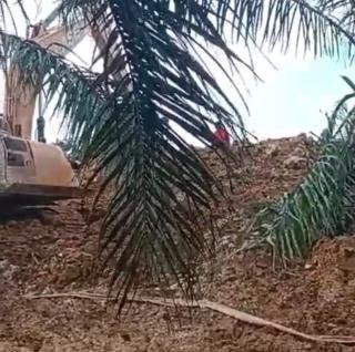 Aktivitas PETI Masih Marak, Polres Kuansing Gagal Jaga Ekosistem Alam di Kuansing, Mahasiswa: “Kami Siapkan Laporan ke Propam”