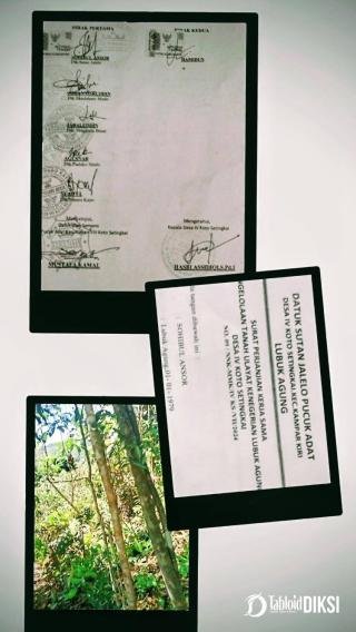 Tanah Ulayat Kenegerian Lubuk Agung 