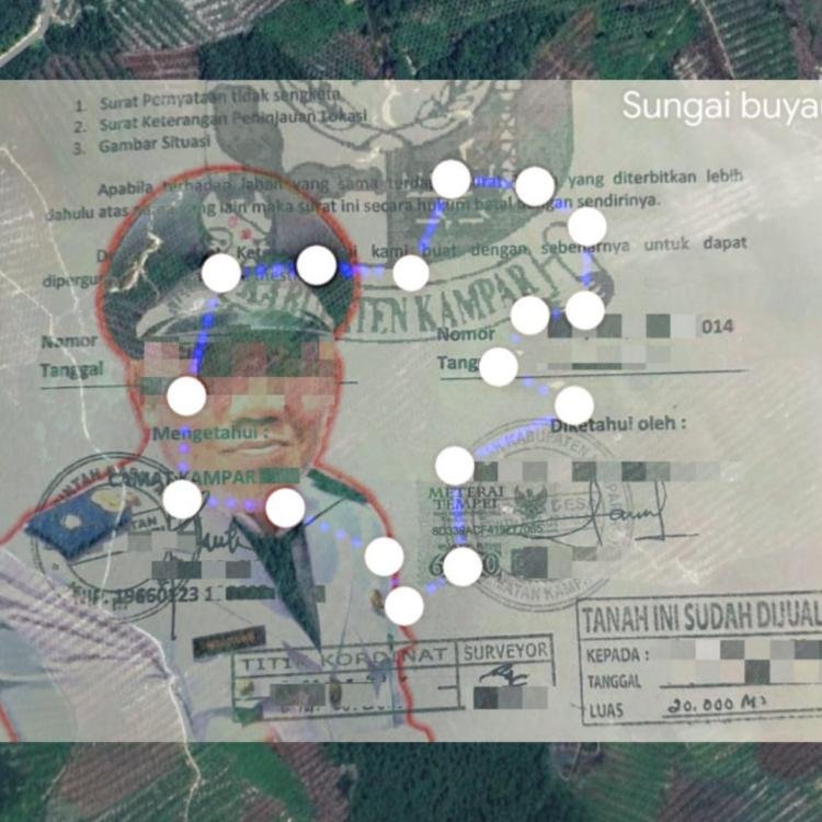 KUNTU DARUSSALAM: Oknum Kepala Desa Diduga Terbitkan Surat Keterangan Tanah di Lahan Suaka Margasatwa Rimbang Baling