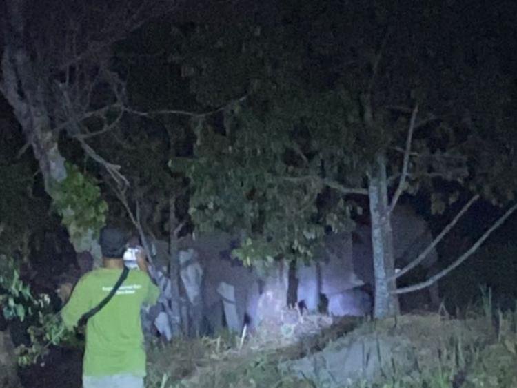 Detik-Detik Belasan Gajah Liar Masuki Kebun Warga, Damkar dan BKSDA Bergerak Cepat