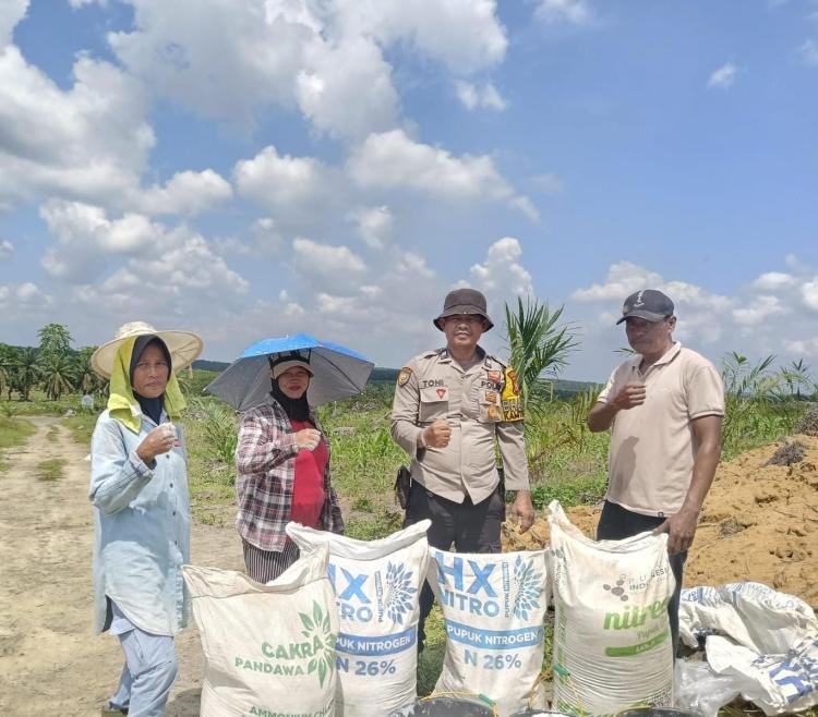 Polsek Singingi Hilir,  Dukung Program ketahanan Pangan  Jagung Pipil Dan Serahkan Bantuan Pupuk kepada Kelompok Tani Rukun Sentosa