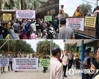 Tapung Hilir Mencekam, Ratusan Warga Pertanyakan Dugaan Pemanfaatan Lahan di Luar HGU PT SBAL