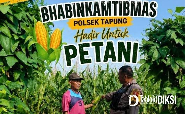 Polsek Tapung Kawal Jagung Warga, Pastikan Swasembada Pangan Tak Sekadar Program