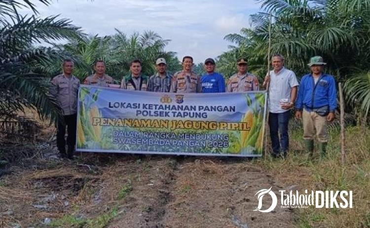 Polsek Tapung Tancap Gas Dukung Swasembada Pangan, Jagung Kuartal III Mulai Ditanam