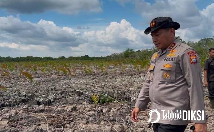 Tak Ada Ampun! Kapolda Riau Turun Langsung Usut Perusakan Mangrove 118 Hektare di Rohil