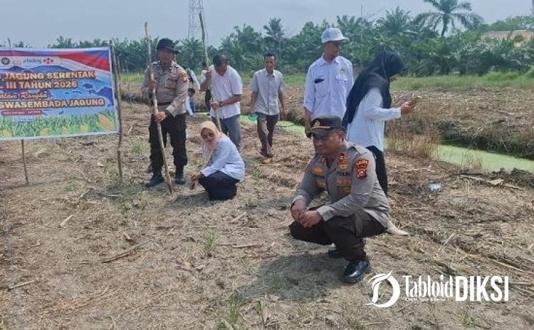 Kapolsek Batu Hampar Pimpin Langsung Penanaman Jagung 2 Hektare