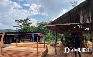 Polda Riau Bongkar Sawmill Ilegal di Kampar, Sita Ratusan Batang Kayu Hasil Illegal Logging