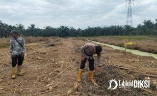 Polsek Batu Hampar Kawal Ketat Lahan Jagung 2 Hektare, Perkuat Ketahanan Pangan di Rokan Hilir