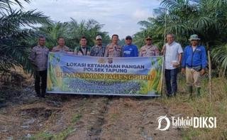 Polsek Tapung Tancap Gas Dukung Swasembada Pangan, Jagung Kuartal III Mulai Ditanam