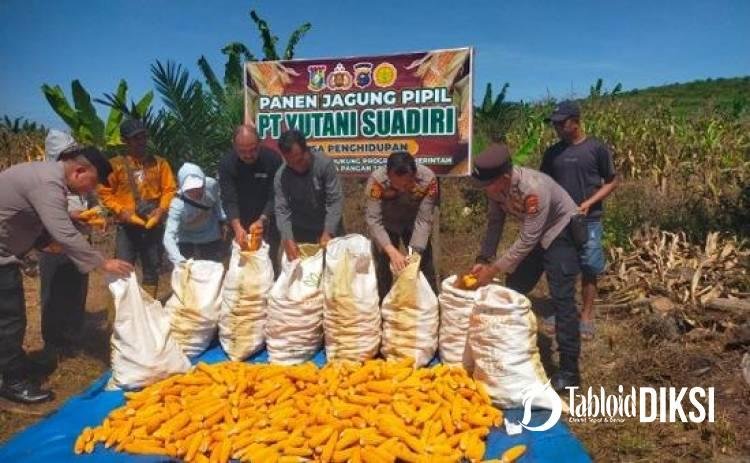Panen Jagung 2 Ton Jadi Bukti Nyata Dukungan Polri untuk Ketahanan Pangan