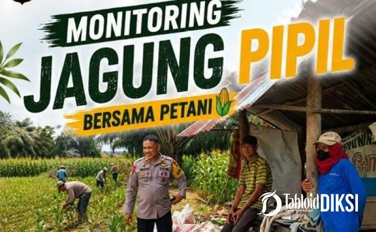 Bhabinkamtibmas Dampingi Petani Jagung, Polsek Tapung Perkuat Ketahanan Pangan dari Desa
