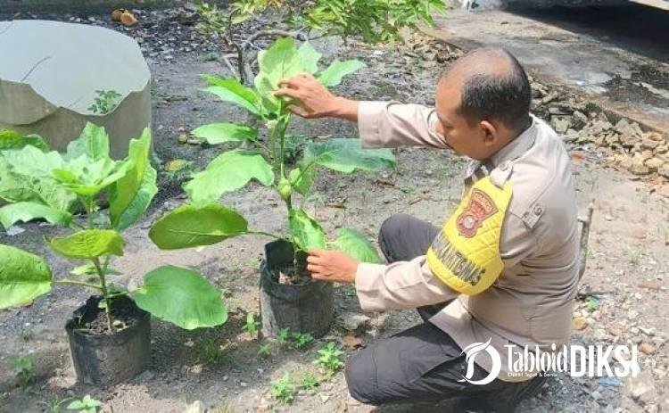 Sambangi Kebun Warga, Bhabinkamtibmas Air Dingin Pantau Tanaman Terong